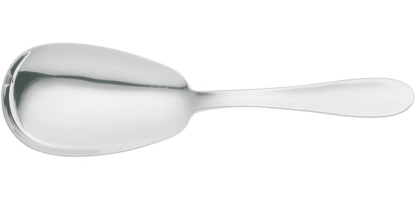 cuillère à riz 25,6 cm