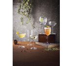 Backdoors'20S gin tonic 80 cl