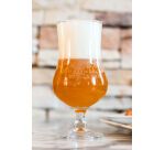 Ale verre à bière 42,5 cl