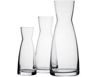 Ypsilon carafe 50 cl