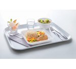 Restaurant assiette carrée 20x20 cm