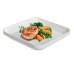 Restaurant assiette carrée 20x20 cm