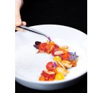 pince inox du chef coudée 14 cm