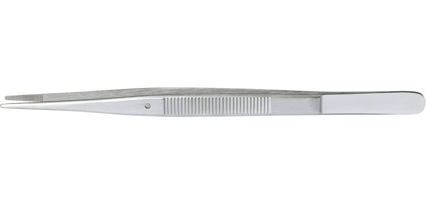 pince inox du chef droite 15 cm