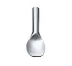 pelle à glace inox