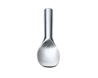 pelle à glace inox