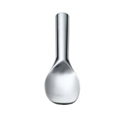pelle à glace inox