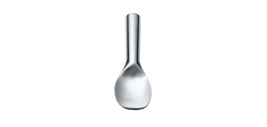 pelle à glace inox