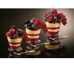 carton de 100 verrines en polystyrène pour entrées et desserts Luna ø 75 H73m 17 cl