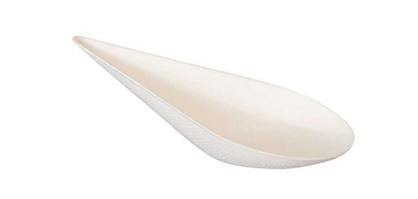 carton de 300 (10 paquets de 30) mises en bouche en fibre spoon 79x52 mm