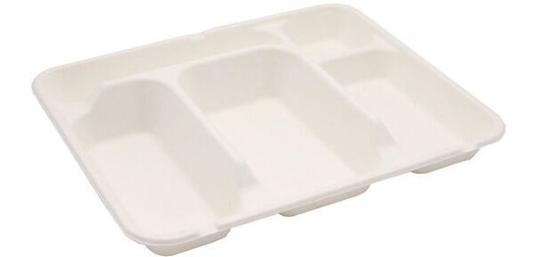 carton de 200 (4 paquets de 50) plateaux repas en fibre de canne à 5 compartiments - 300x245x40 mm