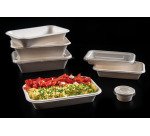 carton de 600 (12 paquets de 50) barquettes en fibre rectangulaires 215x140x52 mm 94 cl