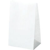 carton de 1000 sacs cabas en papier kraft blanc sans poignées 120x240 mm avec soufflets de 80 mm