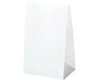 carton de 1000 sacs cabas en papier kraft blanc sans poignées 120x240 mm avec soufflets de 80 mm