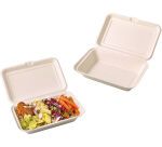 carton de 500 (10 paquets de 50) boîtes lunch en fibre avec couvercle articulé 1 compartiment 250x160x60 mm