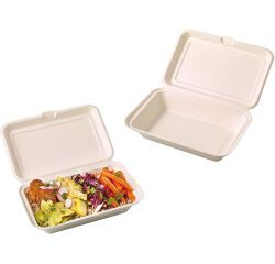 carton de 500 (10 paquets de 50) boîtes lunch en fibre avec couvercle articulé 1 compartiment 250x160x60 mm