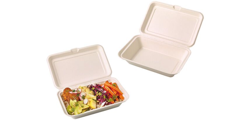 carton de 500 (10 paquets de 50) boîtes lunch en fibre avec couvercle articulé 1 compartiment 250x160x60 mm