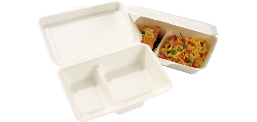 carton de 500 (10 paquets de 50) boîtes lunch en fibre avec couvercle articulé 2 compartiments 250x160x60 mm