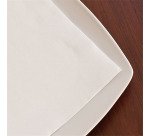 carton de 2400 (24 x 100) serviettes en papier ouate double point, 2 plis, 20x20 cm, blanc