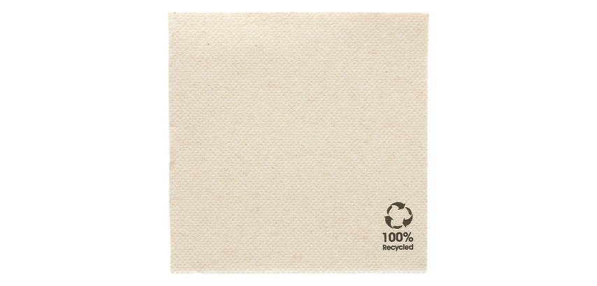carton de 2400 (24 x 100) serviettes en papier ouate double point, 2 plis, 20x20 cm, kraft