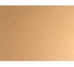 paquet de 500 sets de table 30x40 cm nature kraft brun