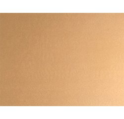 paquet de 500 sets de table 30x40 cm nature kraft brun