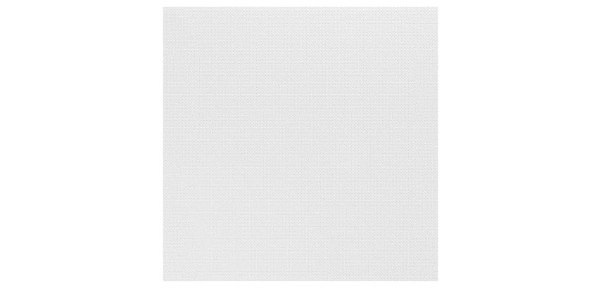carton de 900 (18 paquets de 50) serviettes en papier ouate double point, 2 plis, 38x38 cm, blanc
