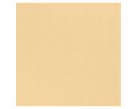carton de 900 (18 paquets de 50) serviettes en céli-ouate, 2 plis, 38x38 cm, ivoire