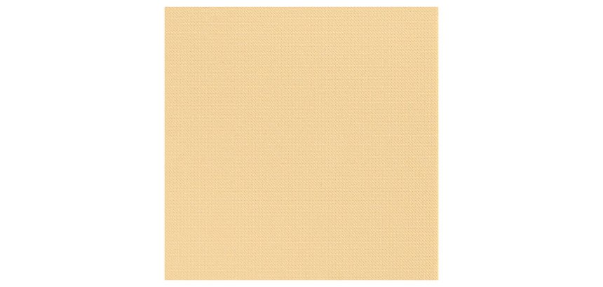carton de 900 (18 paquets de 50) serviettes en céli-ouate, 2 plis, 38x38 cm, ivoire