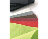 carton de 900 (18 paquets de 50) serviettes en papier ouate double point, 2 plis, 38x38 cm, vert pistache