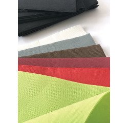 carton de 900 (18 paquets de 50) serviettes en papier ouate double point, 2 plis, 38x38 cm, vert pistache