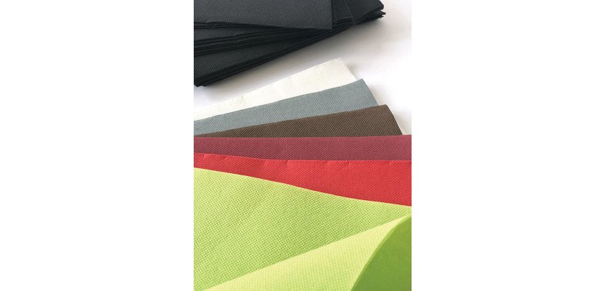carton de 900 (18 paquets de 50) serviettes en papier ouate double point, 2 plis, 38x38 cm, vert pistache