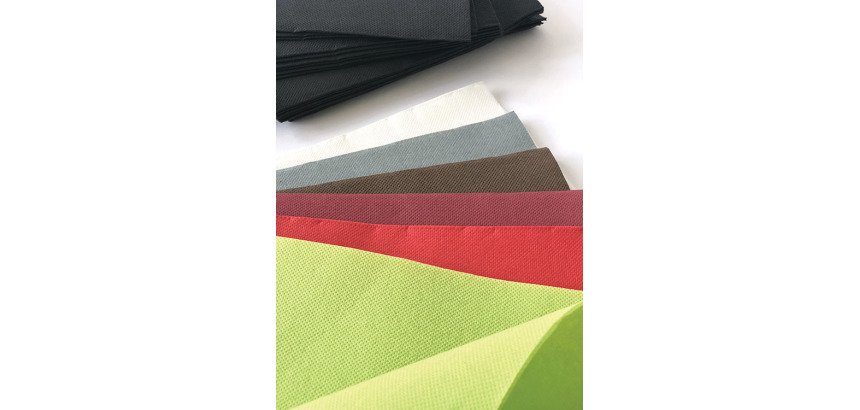 carton de 900 (18 paquets de 50) serviettes en papier ouate double point, 2 plis, 38x38 cm, vert pistache