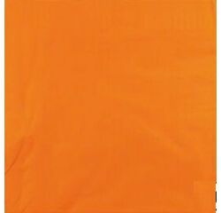 carton de 1200 (24 paquets de 50) serviettes en papier ouate 2 plis, 33x33 cm, mandarine