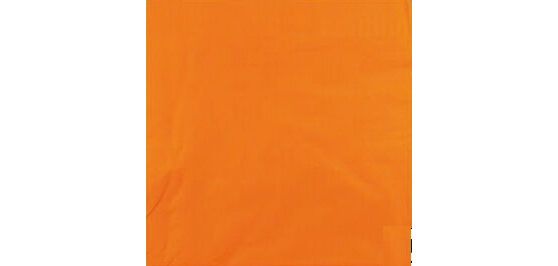 carton de 1200 (24 paquets de 50) serviettes en papier ouate 2 plis, 33x33 cm, mandarine