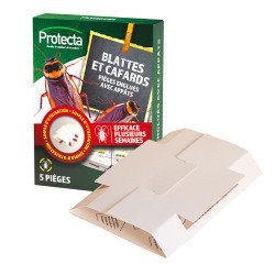 paquet de 5 pièges contre blattes et cafards