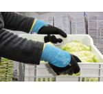 Temp-Ice gants de protection contre le froid taille 8