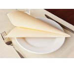 carton de 700 (14 paquets de 50) serviettes en Airlaid 40x40 cm, ivoire