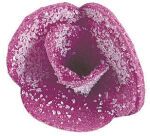 boîte de 100 décors en pain azyme, violettes cristallisées ø 20 mm