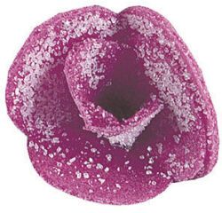 boîte de 100 décors en pain azyme, violettes cristallisées ø 20 mm
