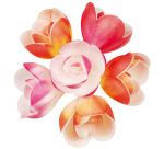 boîte de 72 décors en pain azyme, fleurs azyme pastel ø 40 mm