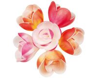 boîte de 72 décors en pain azyme, fleurs azyme pastel ø 40 mm