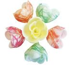 boîte de 72 décors en pain azyme, fleurs azyme pastel zébrées assorties ø 40 mm
