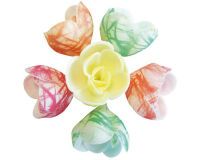 boîte de 72 décors en pain azyme, fleurs azyme pastel zébrées assorties ø 40 mm
