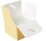 paquet de 25 boîtes isolantes à glace en polystyrène expansé jaune pour 1/2 litre de glace