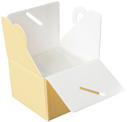 paquet de 25 boîtes isolantes à glace en polystyrène expansé jaune pour 1/2 litre de glace