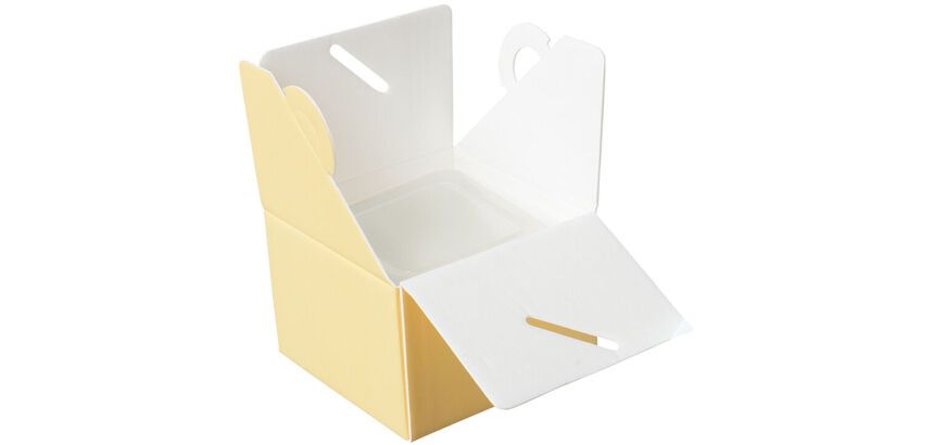 paquet de 25 boîtes isolantes à glace en polystyrène expansé jaune pour 1/2 litre de glace