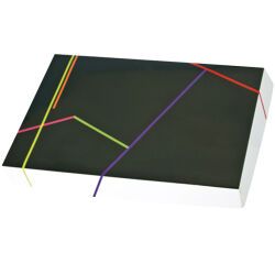 paquet de 25 boîtes traiteur en carton "prestige" imprimé noir sans fenêtre 425x285x60 mm