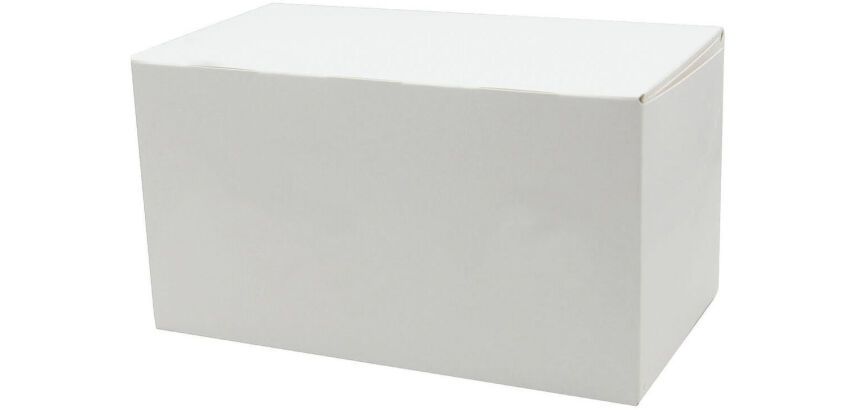 paquet de 25 boîtes à bûches en carton blanc 110 x h 100 x 250 mm