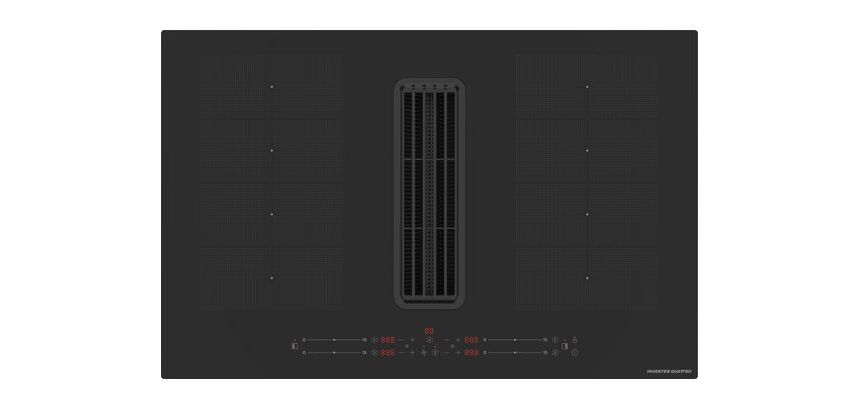 PURELEC Plaque induction HDHB80-195
